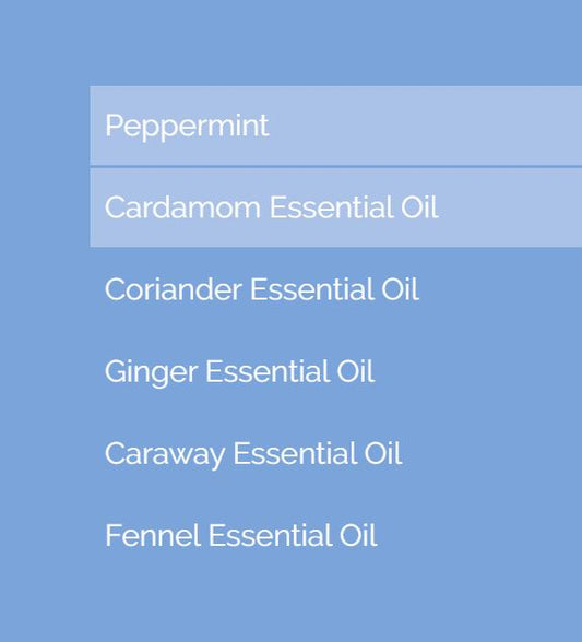 DigestZen Essential Oil (15mL)