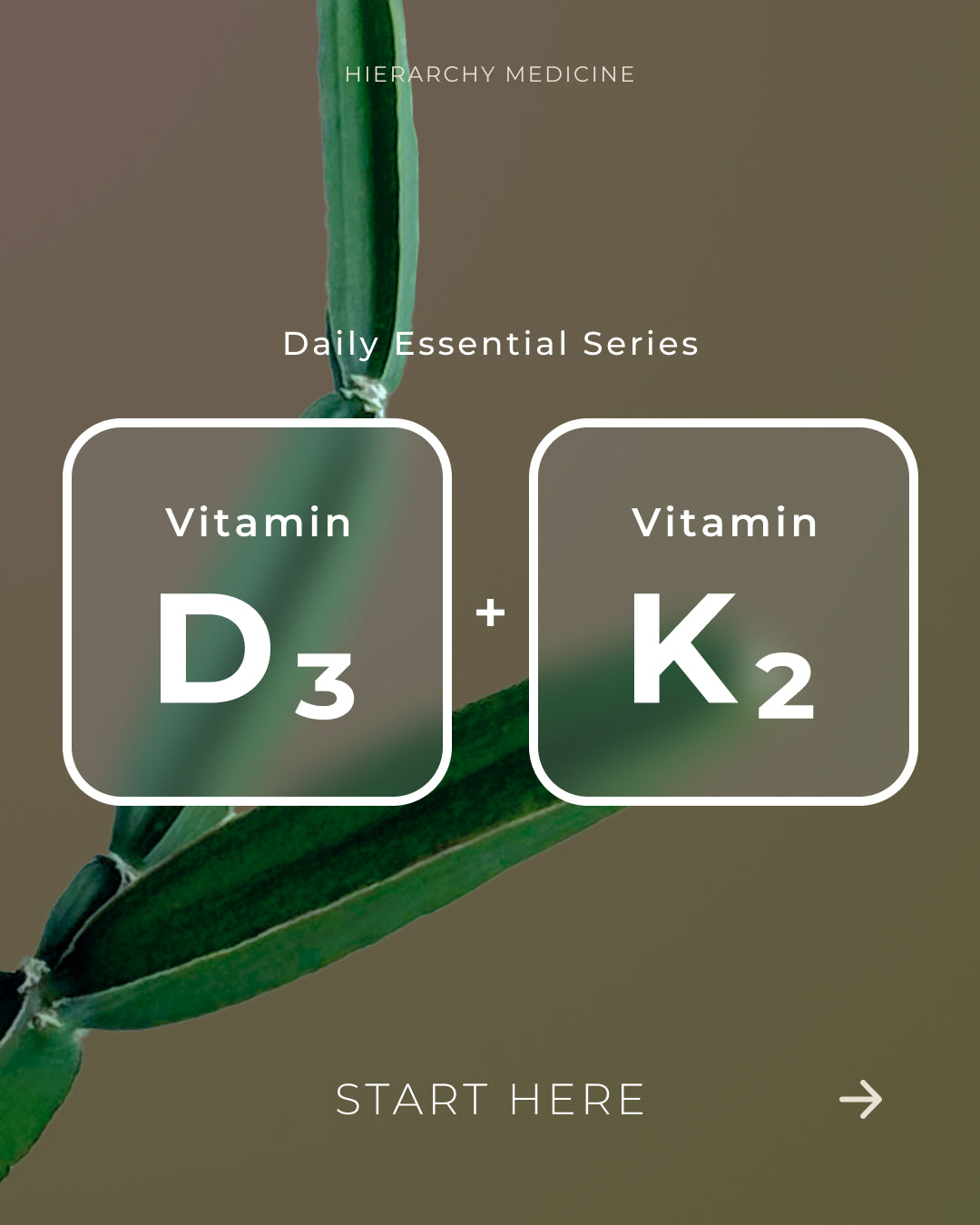 HM Vitamin D3+K2