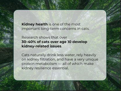 Cat Care Bundle