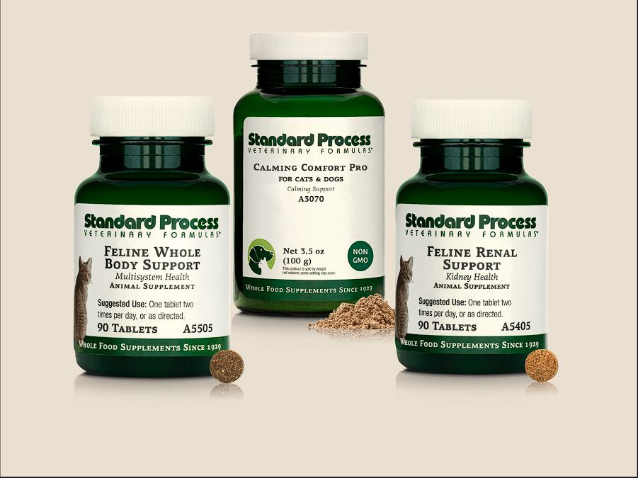 Cat Care Bundle