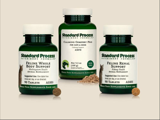 Cat Care Bundle